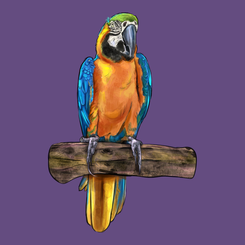 Blue Throated Macaw Vintage Hoodie by LillyAllenDesigns | Teevron