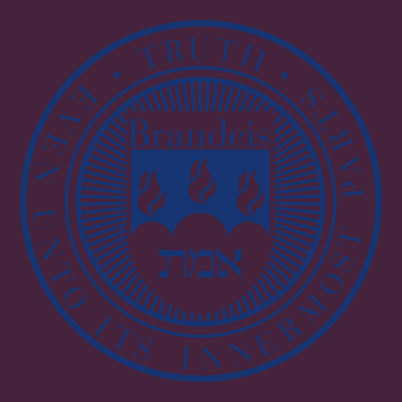 Brandeis University Premium Tee by linhVisuals | Teevron