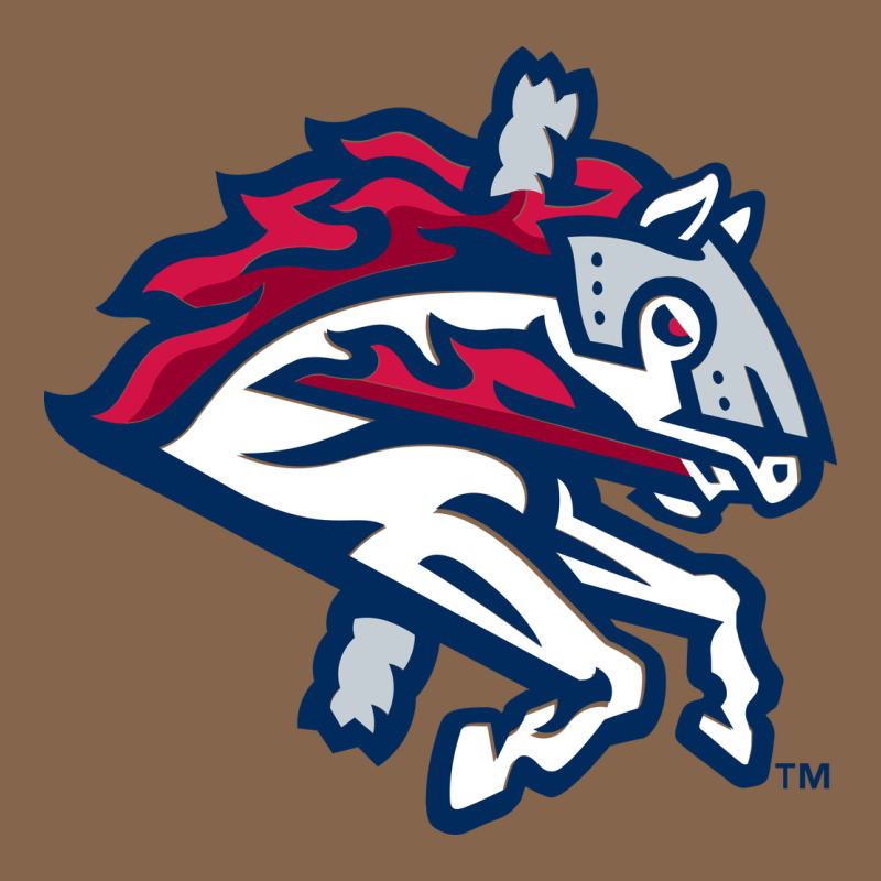 The-binghamton-rumble-ponies-pen Premium Tee by linhVisuals | Teevron