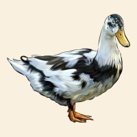 Ancona Duck Vintage Hoodie | Teevron