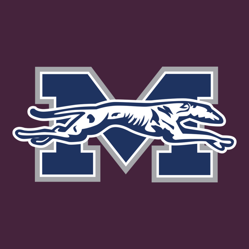 Moravian Merch, Greyhounds Premium Tee by linhVisuals | Teevron