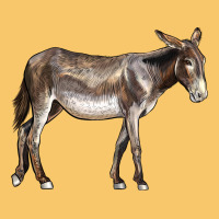 American Mammoth Jackstock Donkey Vintage Hoodie | Teevron