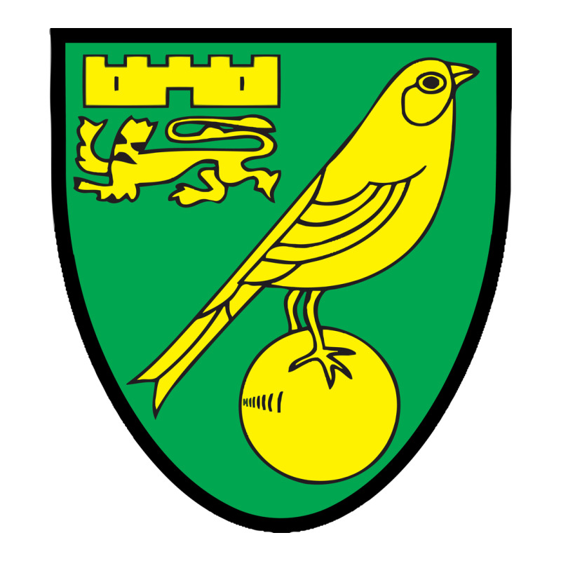 Norwich-fc Premium Tee by linhVisuals | Teevron