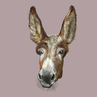 American Mammoth Jackstock Donkey  Face Vintage Hoodie | Teevron