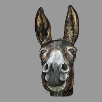 Donkey  Face Vintage Hoodie | Teevron