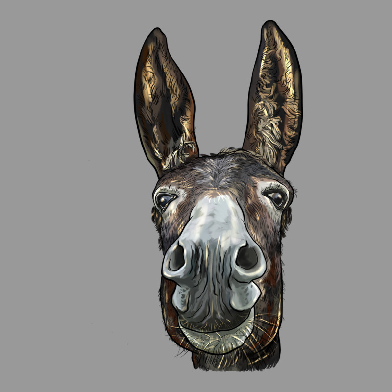 Donkey  Face Vintage Hoodie by LillyAllenDesigns | Teevron