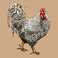 Dominique Rooster Vintage Hoodie | Teevron