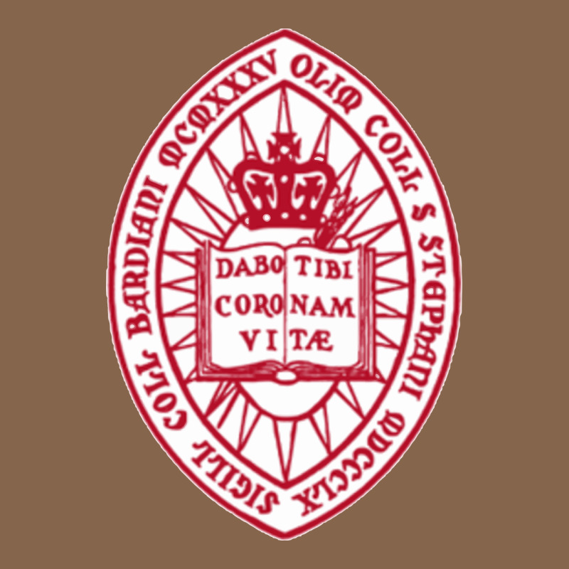 Bard College Premium Tee by linhVisuals | Teevron