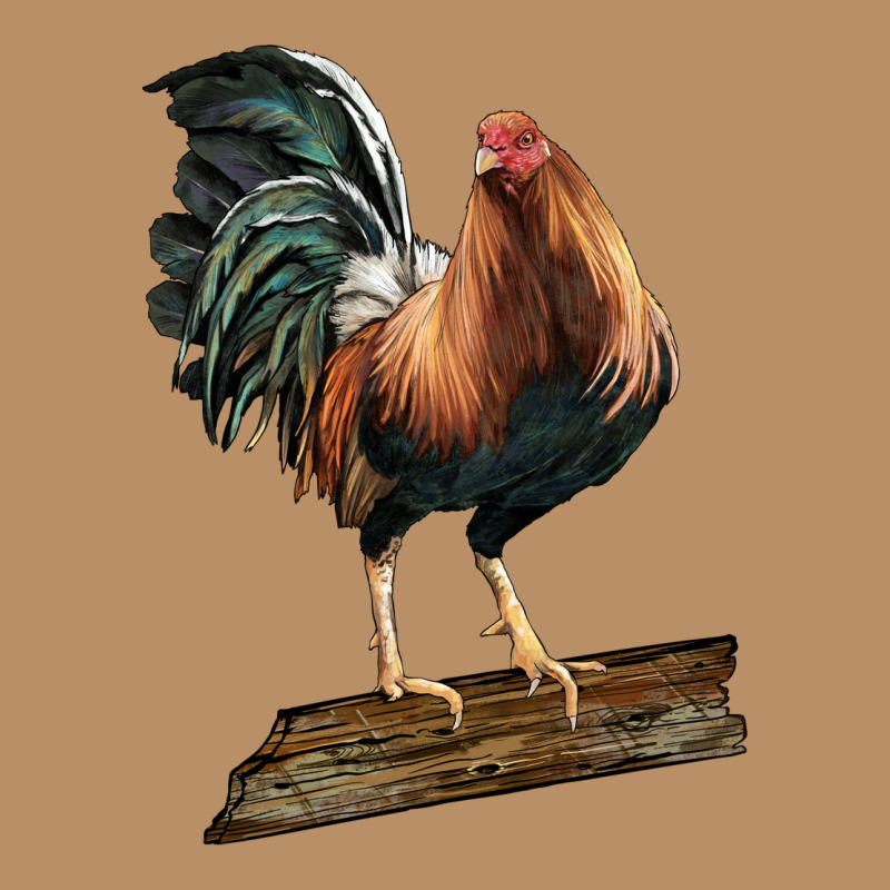 American Game Rooster Standing Vintage Hoodie by LillyAllenDesigns | Teevron