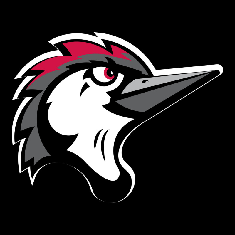 Fayetteville Woodpeckers Premium Tee by linhVisuals | Teevron