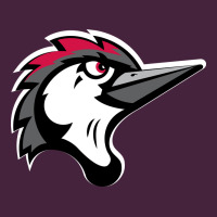 Fayetteville Woodpeckers Premium Tee | Teevron