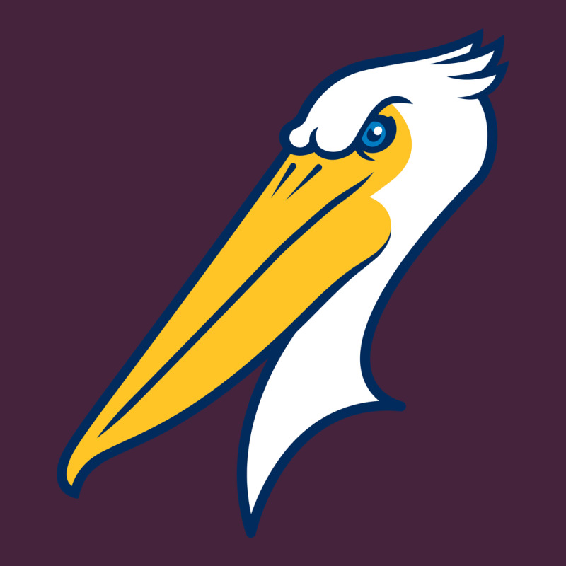 Myrtle Beach Pelicans Premium Tee by linhVisuals | Teevron