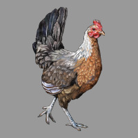 American Game Chicken Vintage Hoodie | Teevron