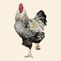 Wyandotte Rooster Vintage Hoodie | Teevron