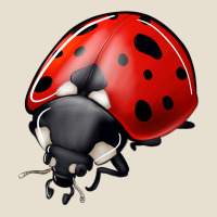 Ladybug Urban Hoodie | Teevron