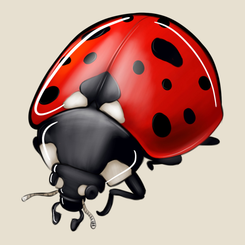 Ladybug Urban Hoodie by Jasminsmagicworld | Teevron