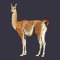 Guanaco Llama Vintage Hoodie | Teevron