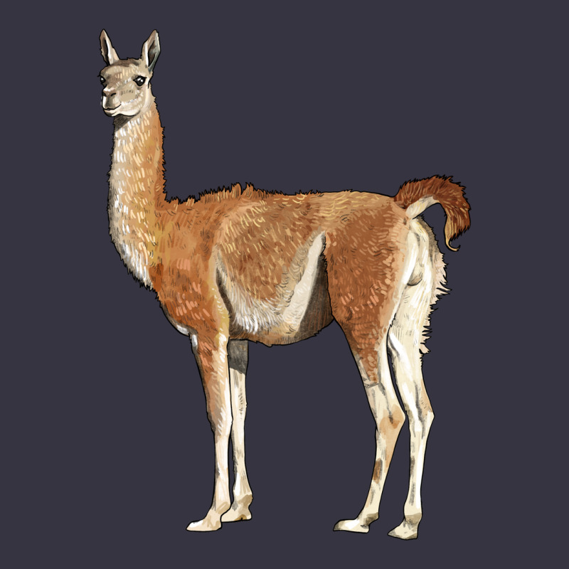 Guanaco Llama Vintage Hoodie by LillyAllenDesigns | Teevron