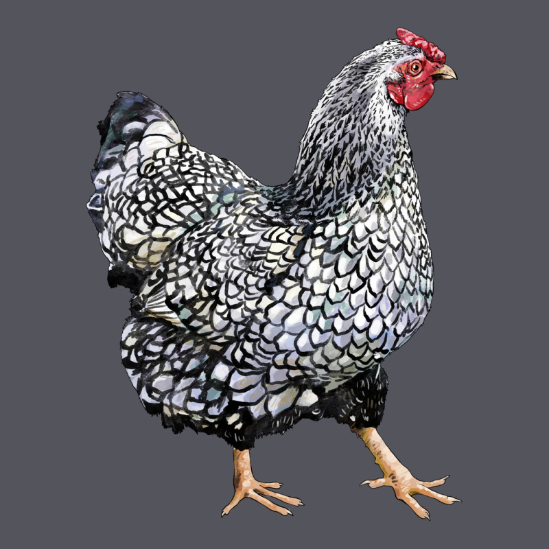 Wyandotte Chicken Vintage Hoodie by LillyAllenDesigns | Teevron