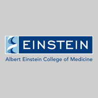 Albert Einstein College Of Medicine Premium Tee | Teevron
