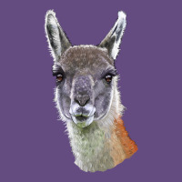 Guanaco Llama Head Vintage Hoodie | Teevron