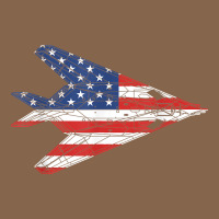 F 117 Stealth Nighthawk Aircraft American Flag F117 T Shirt Premium Tee | Teevron