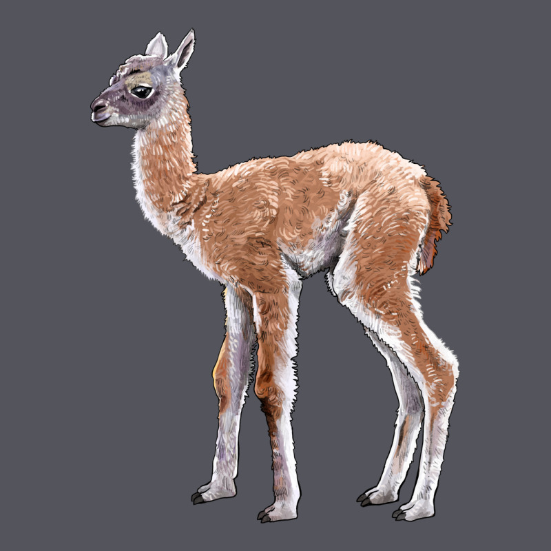 Guanaco Llama Baby Vintage Hoodie by LillyAllenDesigns | Teevron