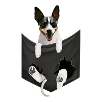 rat terrier dog in pocket, rattie puppy, ratting terrier t shirt | Teevron