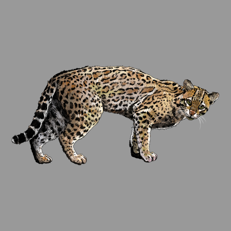 Ocelot Vintage Hoodie by LillyAllenDesigns | Teevron
