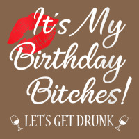 Womens It's My Birthday Bitches! Funny Drunk Party Birthday Girls V Ne Premium Tee | Teevron