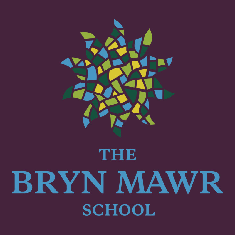 Bryn Mawr School Premium Tee by linhVisuals | Teevron