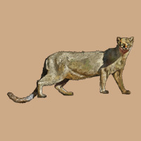 Jaguarundi Vintage Hoodie | Teevron