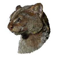 Jaguarundi Head | Teevron