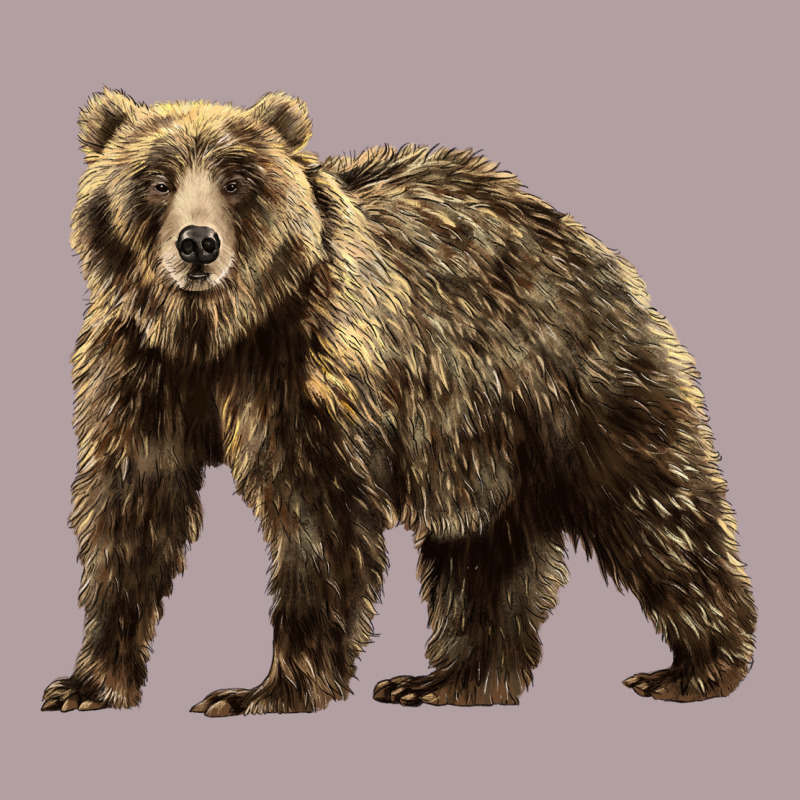 Brown Bear Vintage Hoodie by LillyAllenDesigns | Teevron