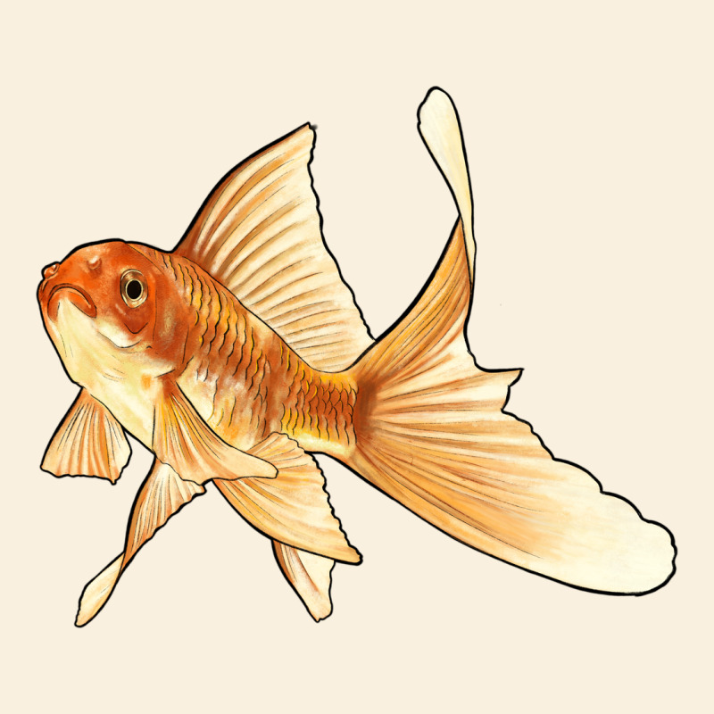 Goldfish Vintage Hoodie by LillyAllenDesigns | Teevron