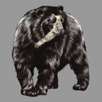 Spectacled Bear Vintage Hoodie | Teevron