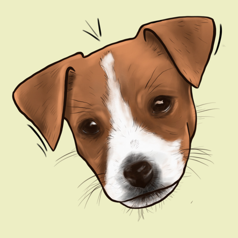 Jack Russel Urban Hoodie by Jasminsmagicworld | Teevron