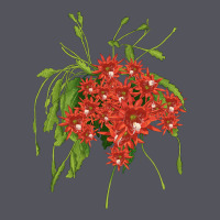 Red Orchid Cactus Vintage Hoodie | Teevron