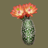 King Cup Cactus Vintage Hoodie | Teevron
