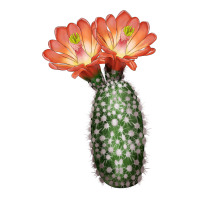 King Cup Cactus | Teevron