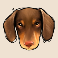 Dachshund Urban Hoodie | Teevron