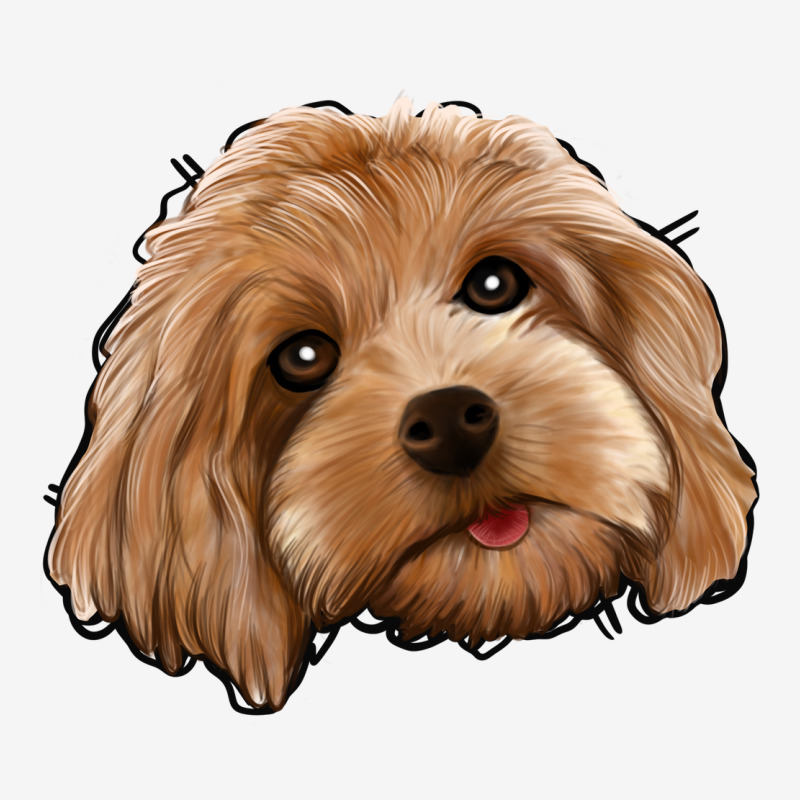Cockapoo Urban Hoodie by Jasminsmagicworld | Teevron