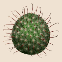 Arizona Fishhook Cactus Urban Heavy Tee | Teevron