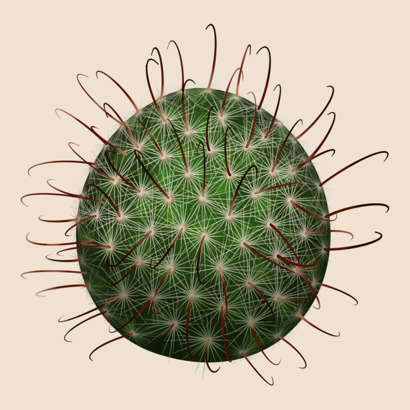 Arizona Fishhook Cactus Urban Heavy Tee by LillyAllenDesigns | Teevron