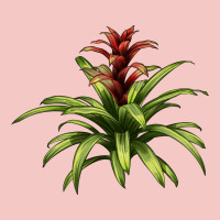Bromeliads Urban Heavy Tee | Teevron