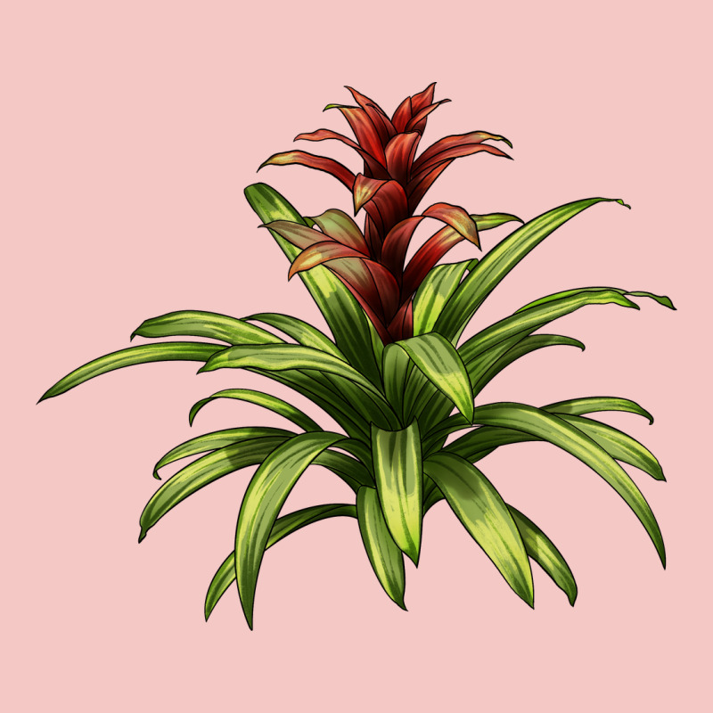 Bromeliads Urban Heavy Tee by LillyAllenDesigns | Teevron