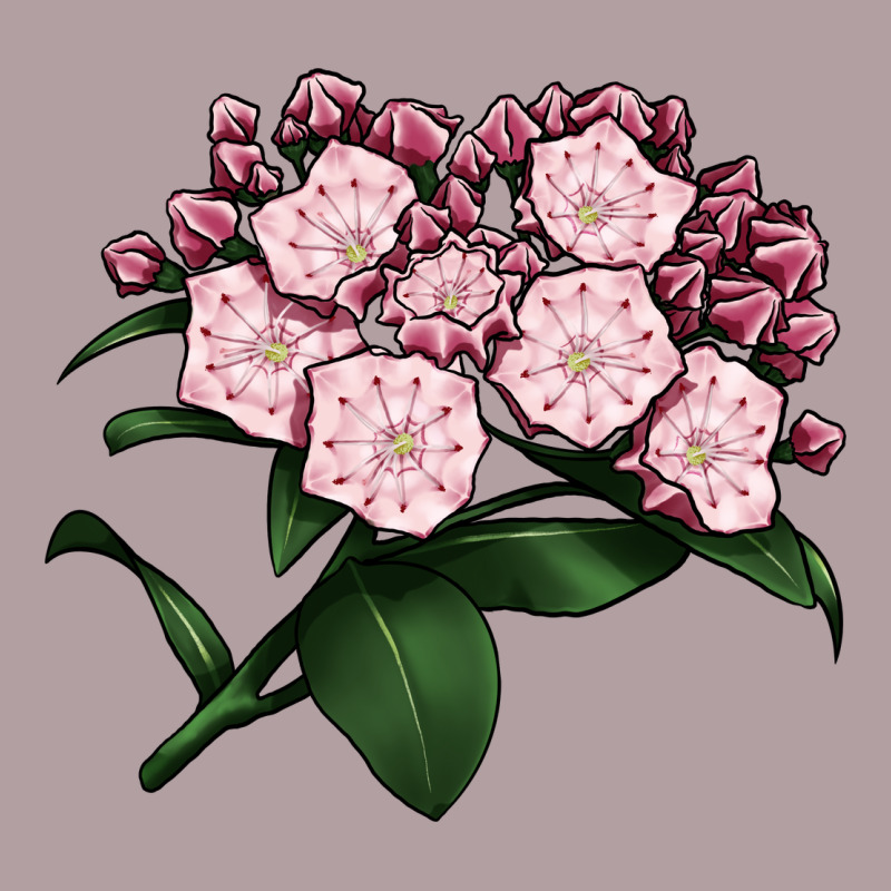 Mountain Laurel Flower Illustrations Vintage Hoodie by LillyAllenDesigns | Teevron
