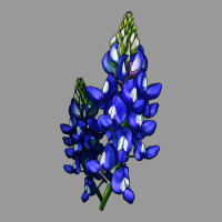 Bluebonnet Flower Illustrations Vintage Hoodie | Teevron
