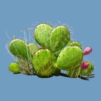 Desert Prickly Pear Cactus Urban Heavy Tee | Teevron