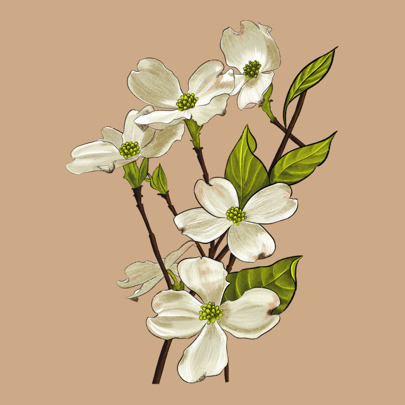 American Dogwood Flower Illustrations Vintage Hoodie by LillyAllenDesigns | Teevron